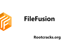 FileFusion Crack